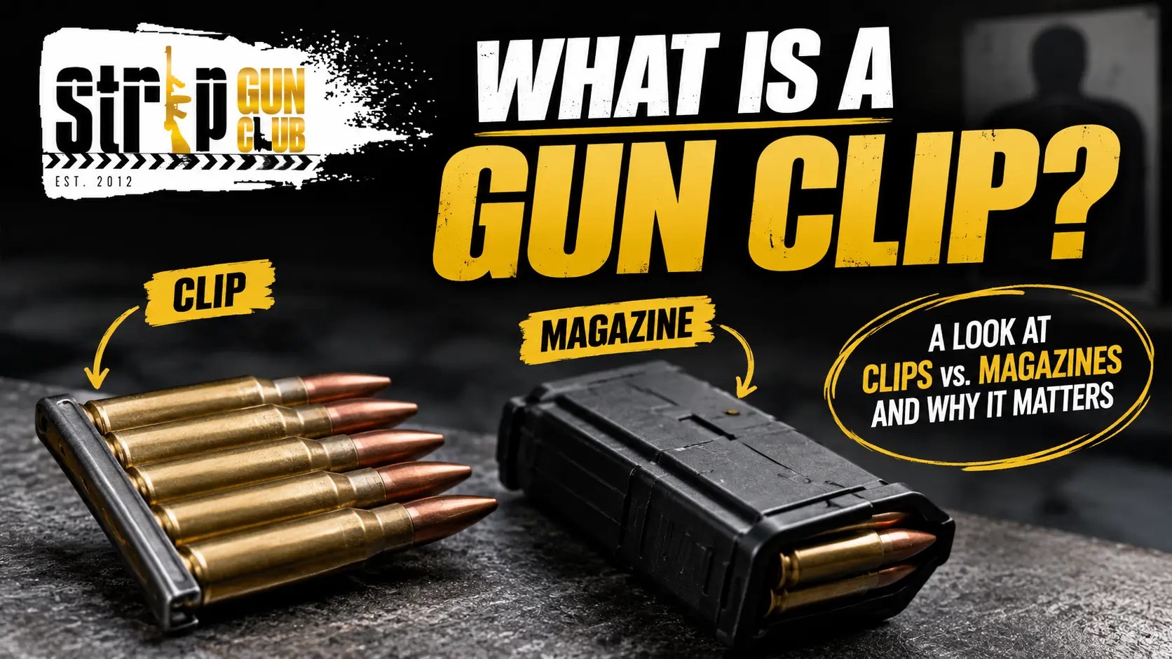 Bullets in a clip and a gun magazine on a table with text about gun clips and magazines.